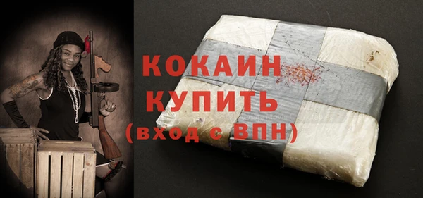 ешки Ельня