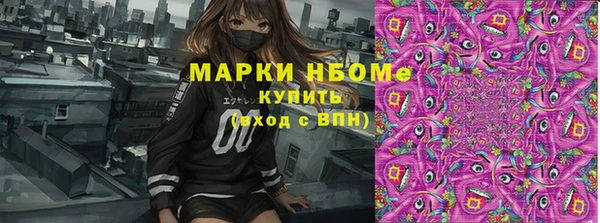 ешки Ельня