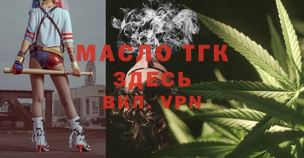 ешки Ельня