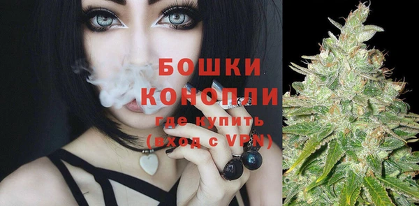 ешки Ельня