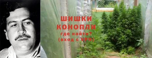 ешки Ельня