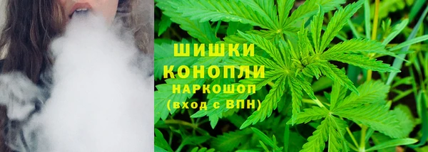 ешки Ельня